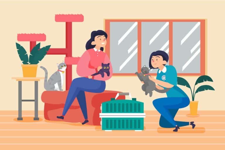 A new pet owner happily petting a tabby cat surrounded by basic supplies, illustrating essential cat care tips for beginners.