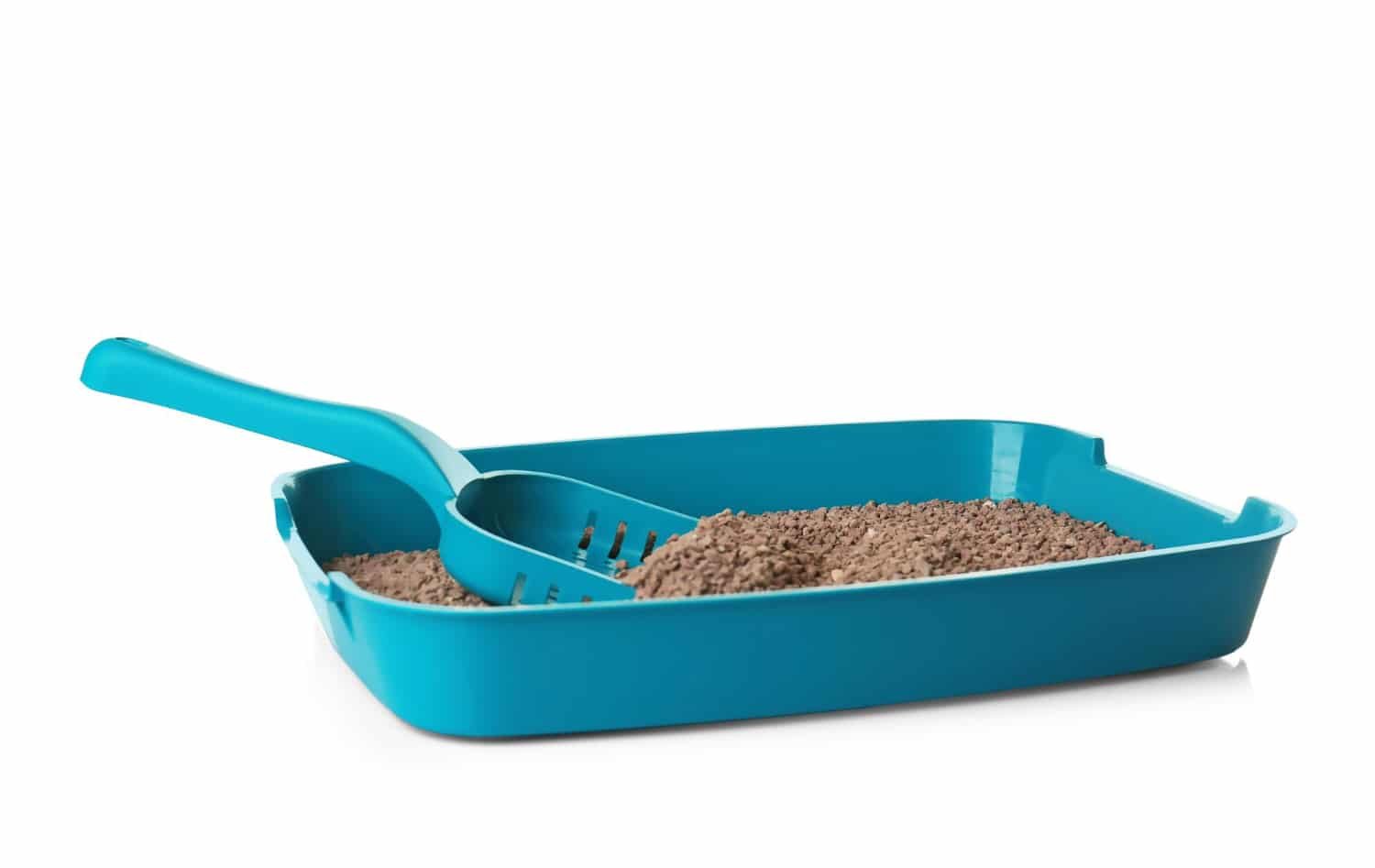 Cat Litter Box