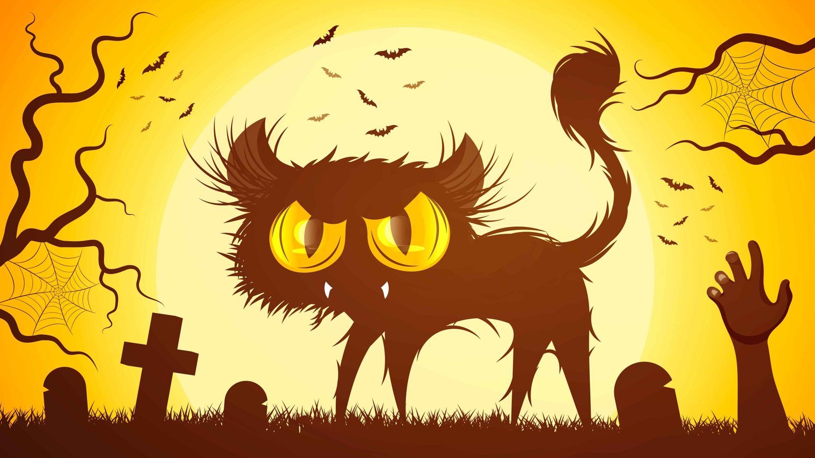 the wild expression of cat zoomies.