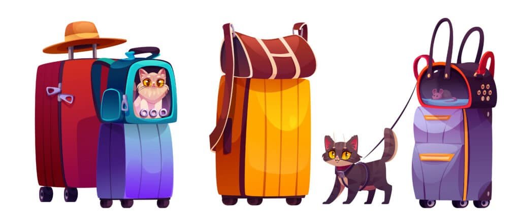 Safety First While Travelling