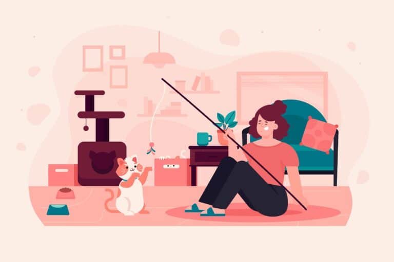 A responsible cat parent engaging in safe, interactive play with their feline friend, illustrating what to do and what to avoid as a cat parent.