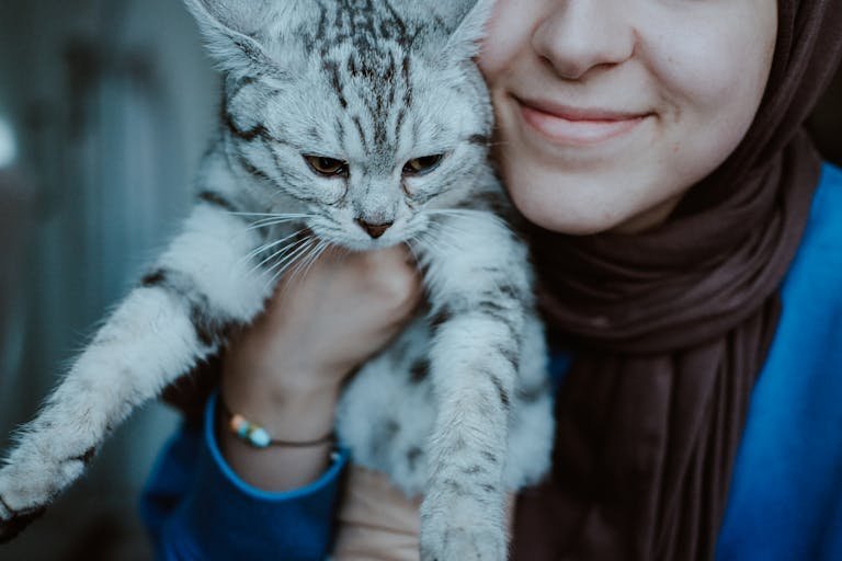 cat owner holding the cat