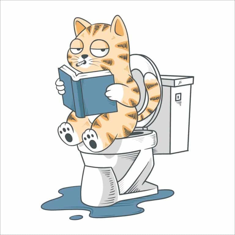 how-hard-potty-train-cat