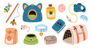 A colorful illustration of essential cat supplies, including a bed, carrier, toys, food bowls, and grooming tools, showing what cats need in a home.