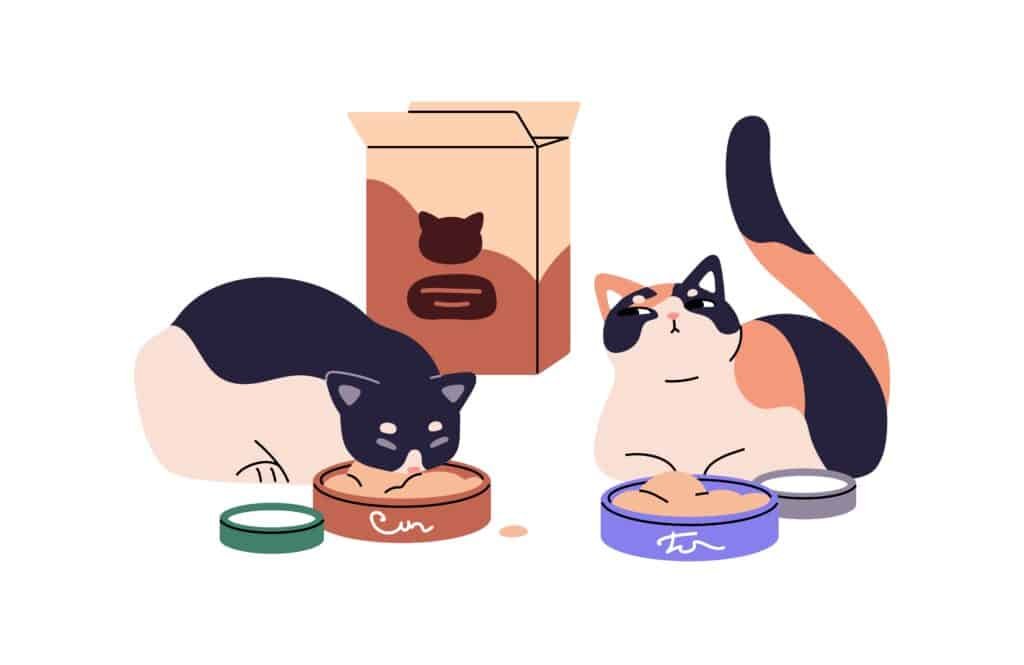 Cat Food and Treats Expenses. Cat Food Expenses.