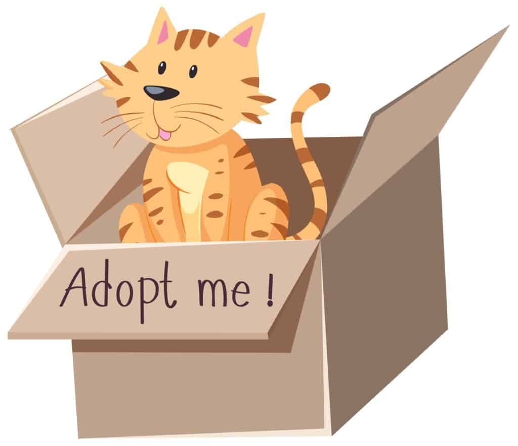 Cat Adoption vs. Buying. Cost of Cat Adoption vs. Buying.