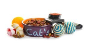 Calculate pet supplies, illustrating the cost to take care of a cat.