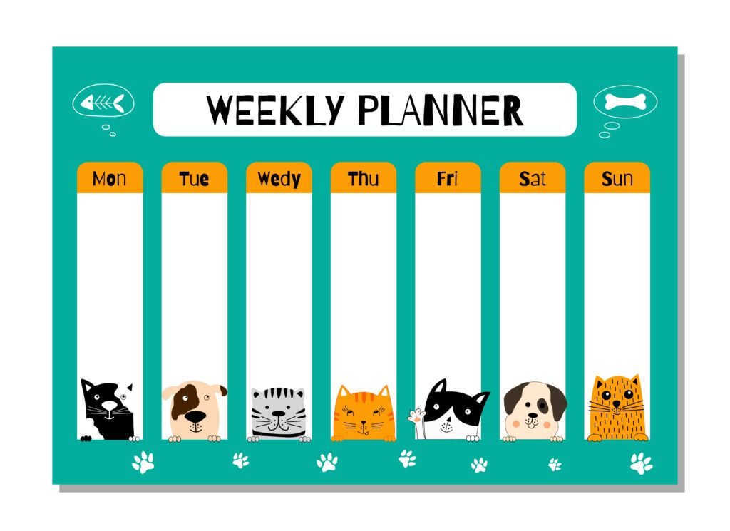 Weekly Cat Care Routine. Weekly Cat Care Planner. Weekly Cat Care Planner Template. Weekly Cat Care Routine Tasks. 
